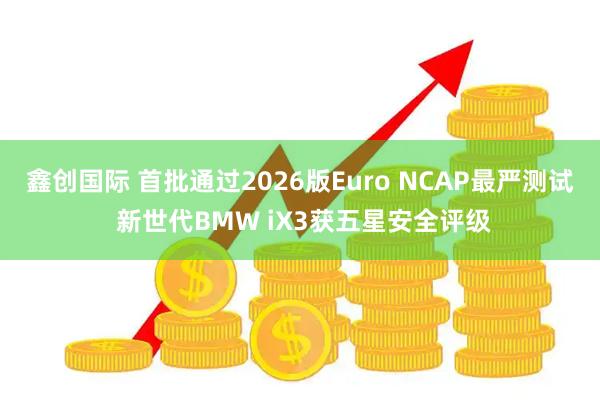 鑫创国际 首批通过2026版Euro NCAP最严测试 新世代BMW iX3获五星安全评级