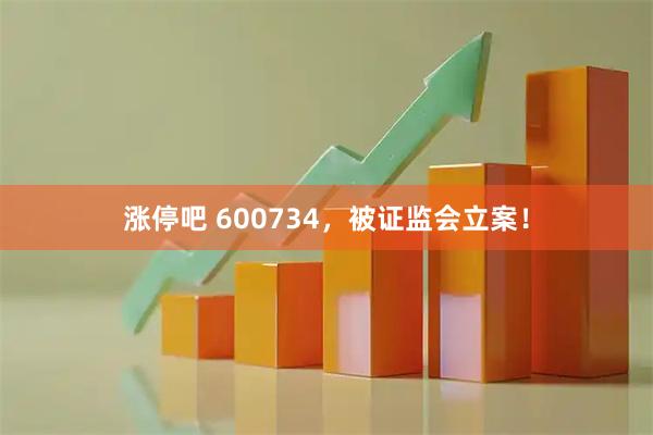 涨停吧 600734，被证监会立案！